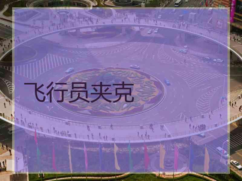 飞行员夹克