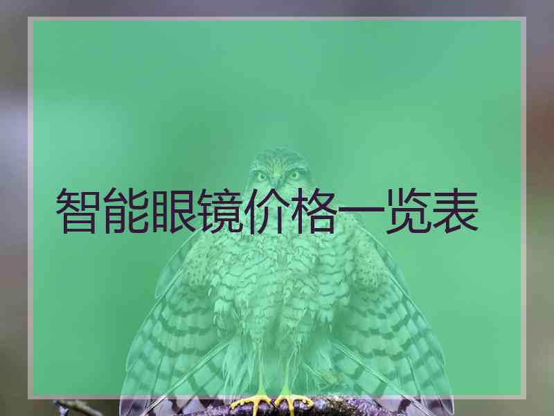 智能眼镜价格一览表