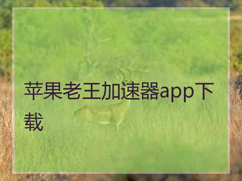 苹果老王加速器app下载