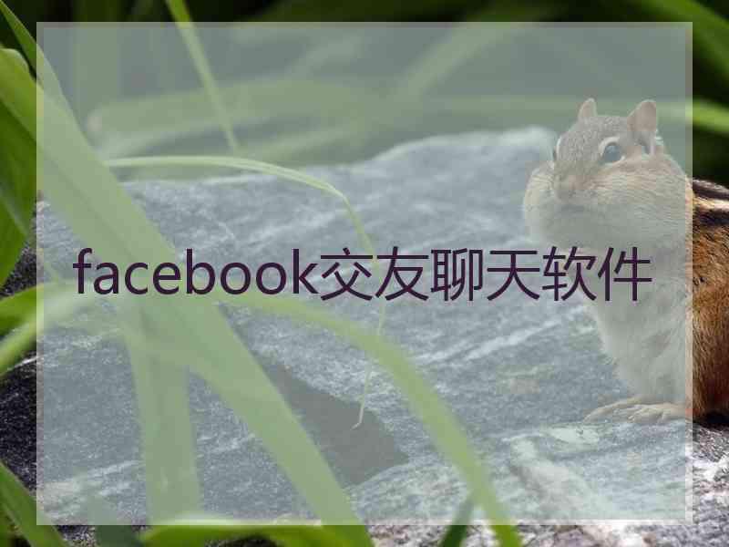 facebook交友聊天软件