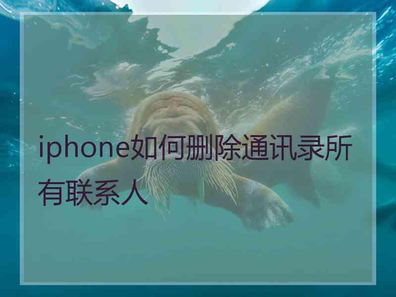 iphone如何删除通讯录所有联系人