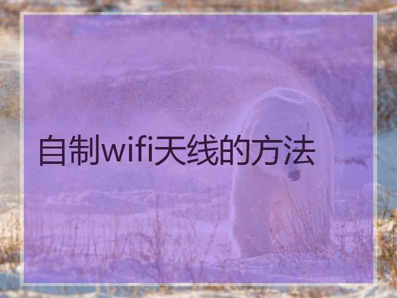 自制wifi天线的方法