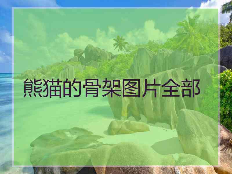 熊猫的骨架图片全部