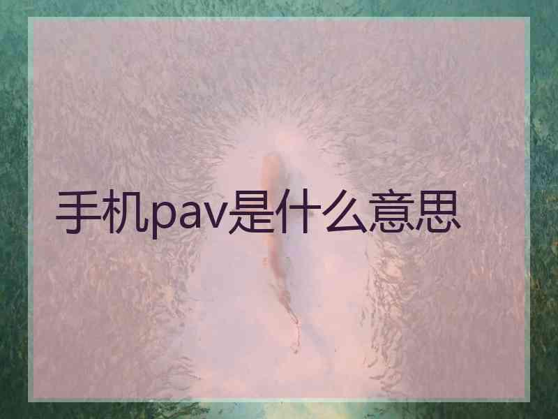 手机pav是什么意思