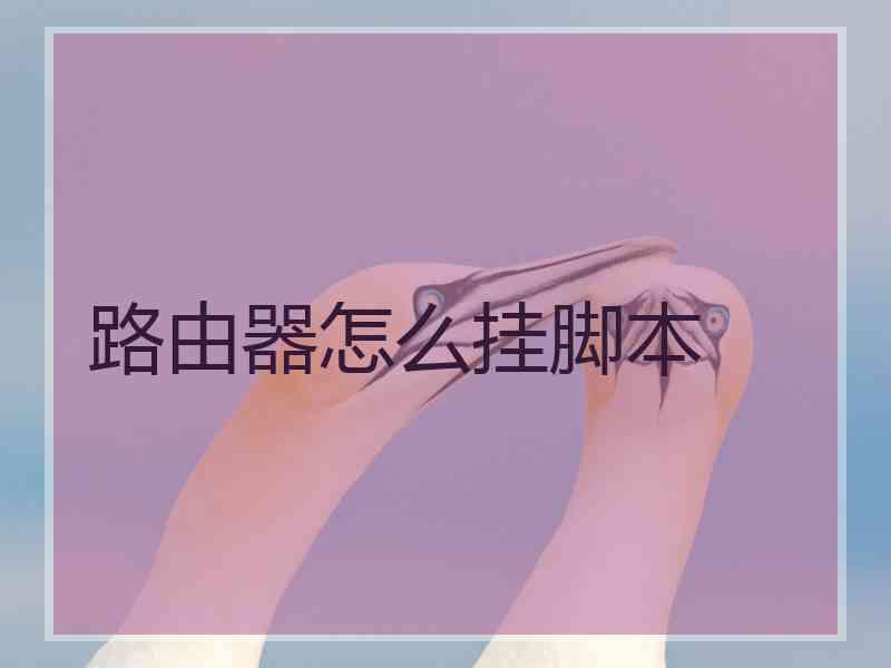 路由器怎么挂脚本