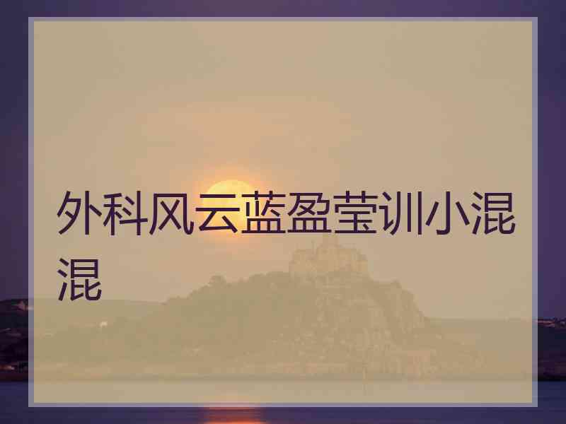 外科风云蓝盈莹训小混混