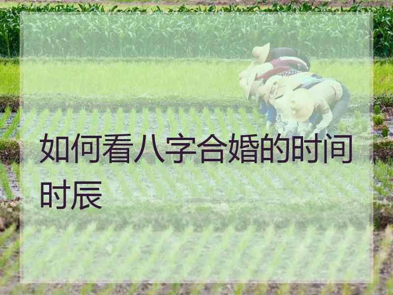 如何看八字合婚的时间时辰