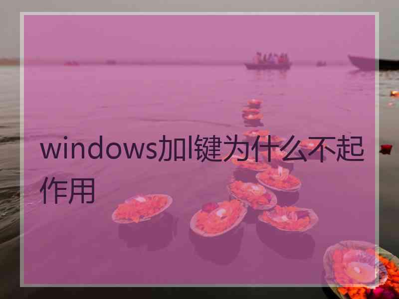 windows加l键为什么不起作用
