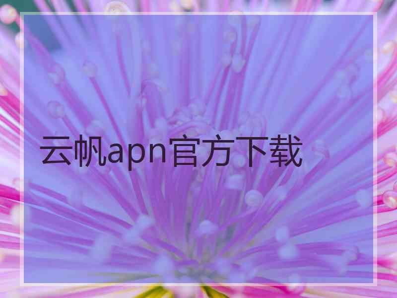 云帆apn官方下载