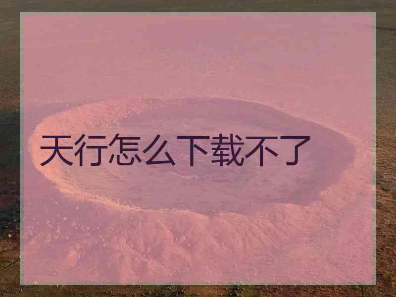 天行怎么下载不了
