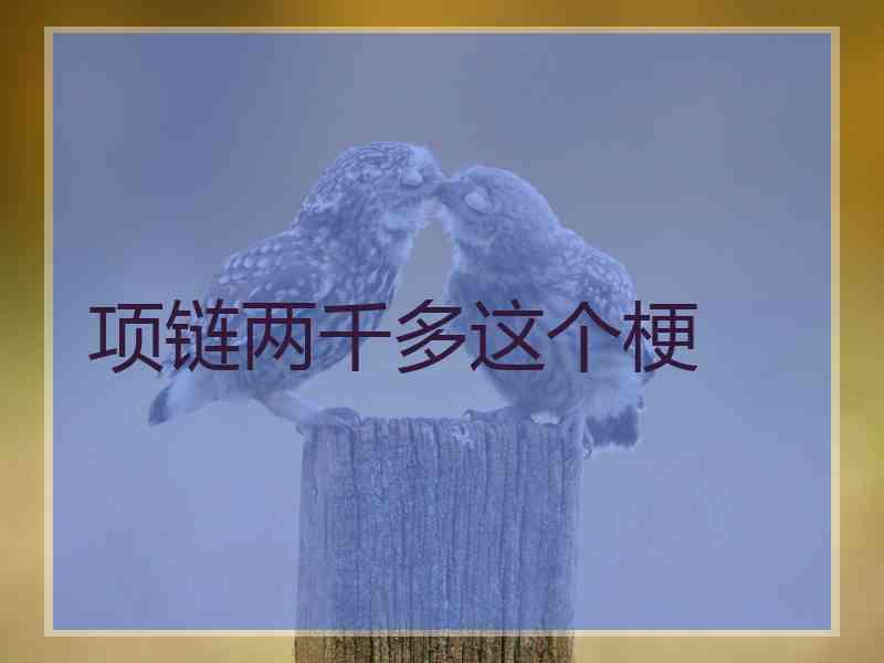 项链两千多这个梗