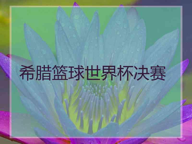 希腊篮球世界杯决赛