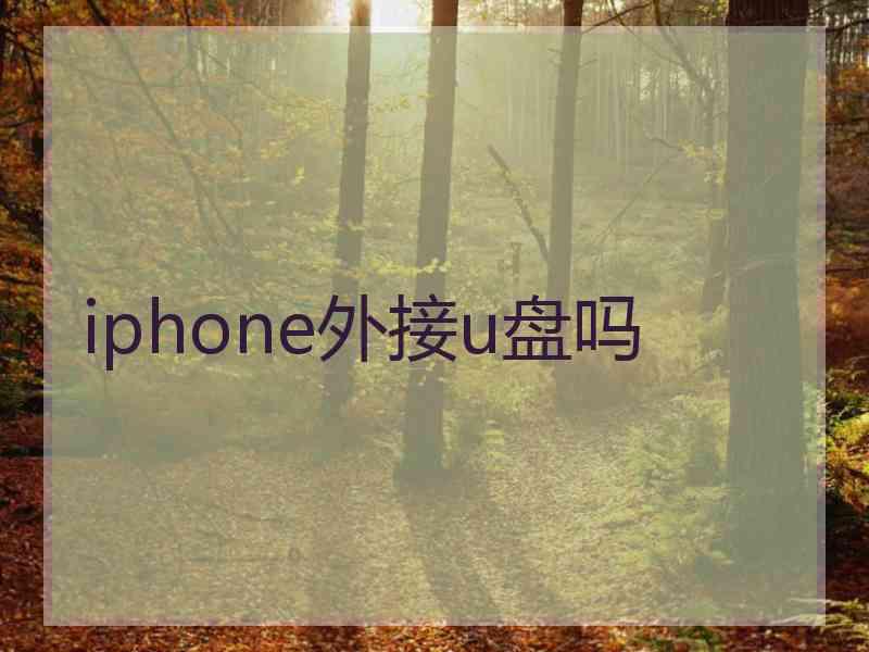 iphone外接u盘吗