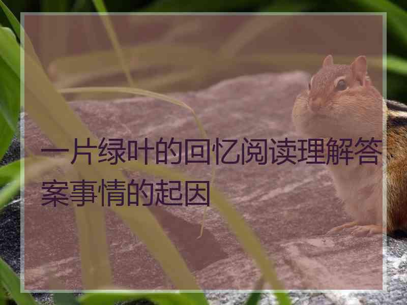 一片绿叶的回忆阅读理解答案事情的起因