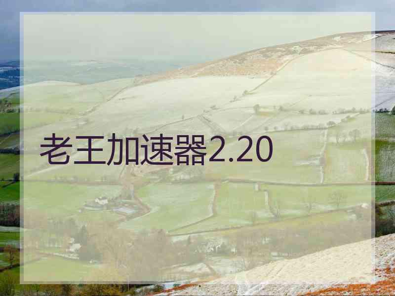 老王加速器2.20