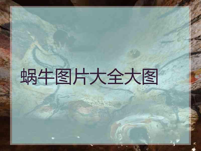 蜗牛图片大全大图