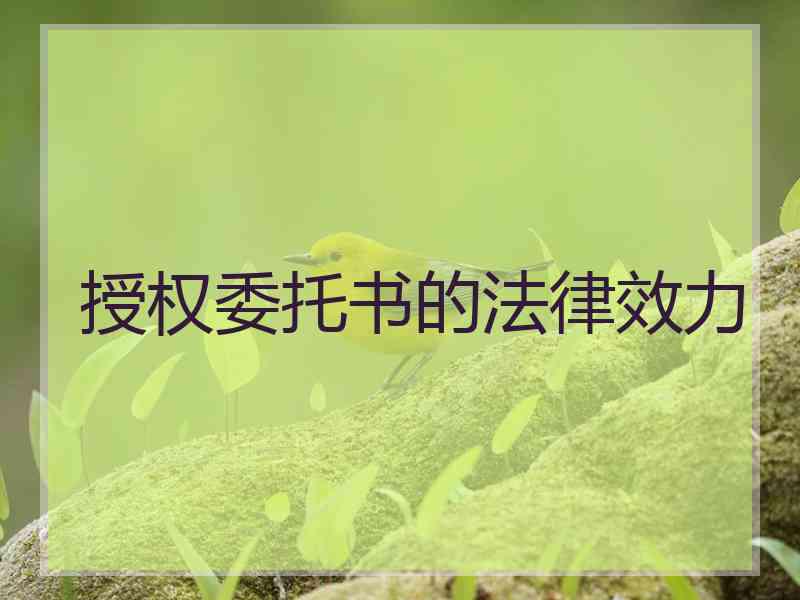 授权委托书的法律效力