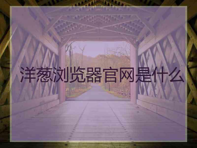 洋葱浏览器官网是什么