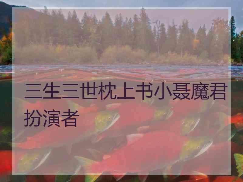 三生三世枕上书小聂魔君扮演者