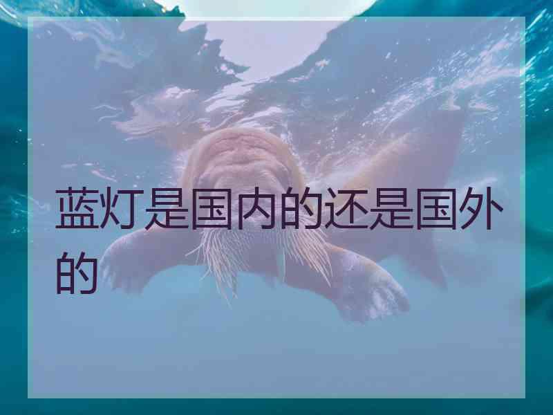 蓝灯是国内的还是国外的