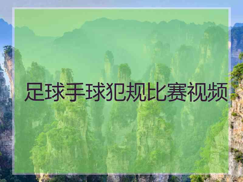 足球手球犯规比赛视频