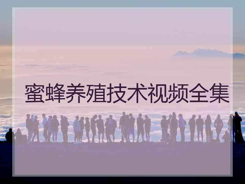 蜜蜂养殖技术视频全集