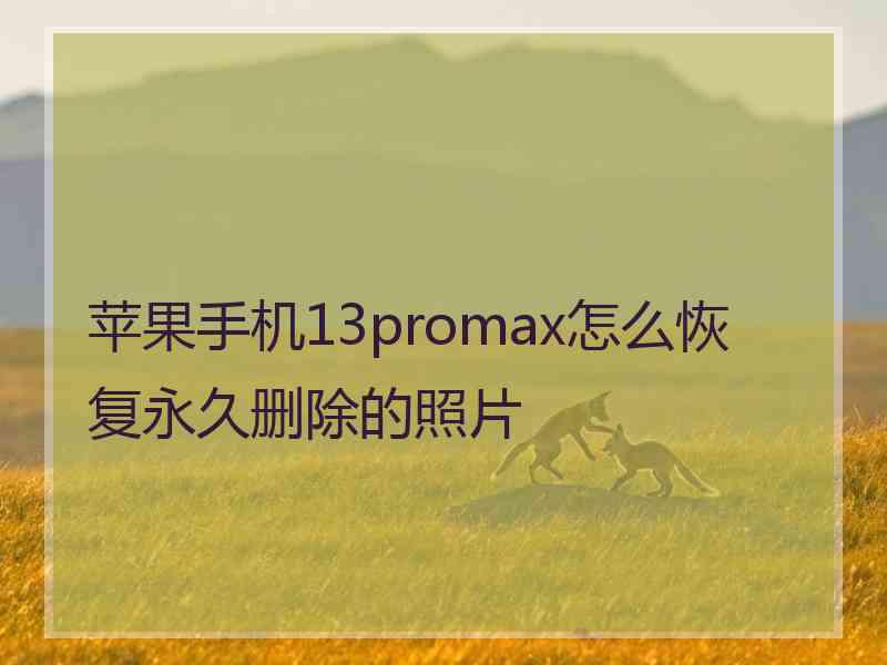 苹果手机13promax怎么恢复永久删除的照片