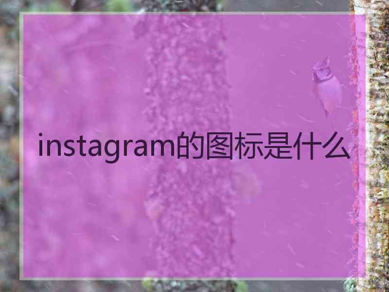 instagram的图标是什么