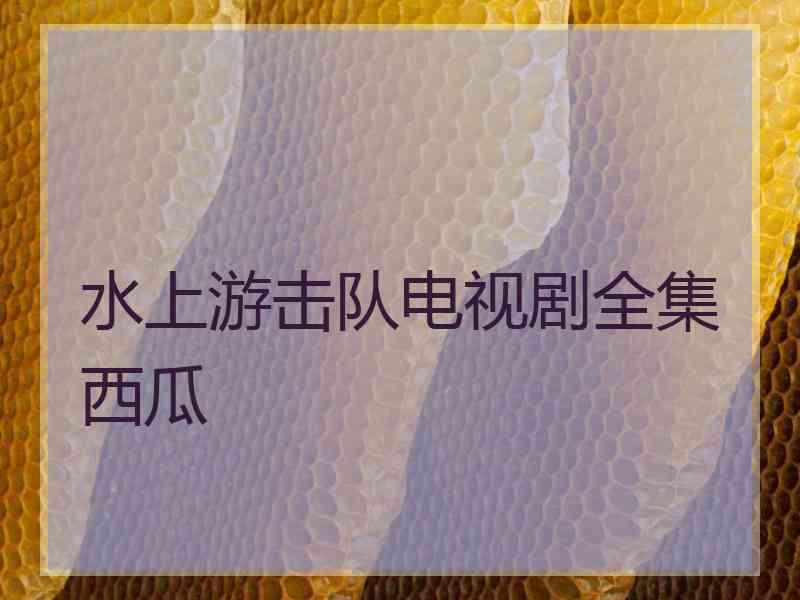水上游击队电视剧全集西瓜