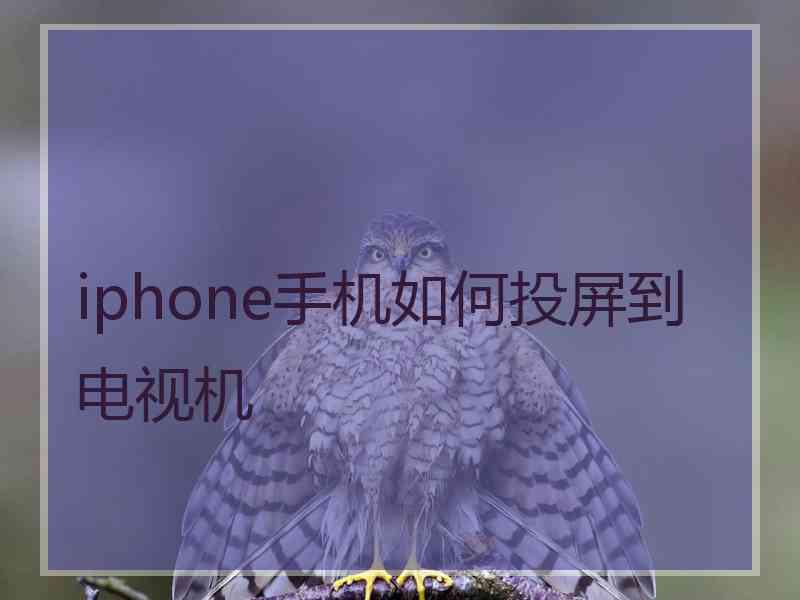 iphone手机如何投屏到电视机