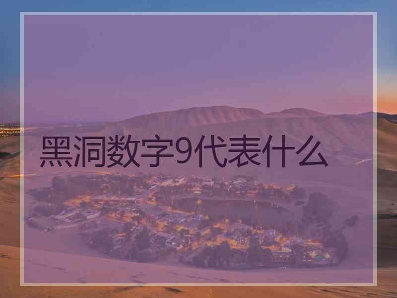 黑洞数字9代表什么
