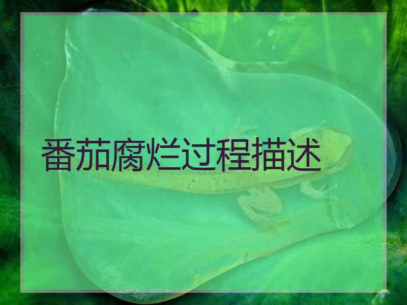 番茄腐烂过程描述