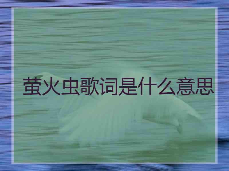 萤火虫歌词是什么意思