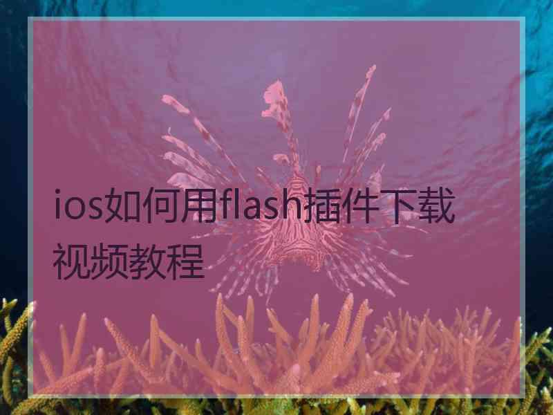 ios如何用flash插件下载视频教程