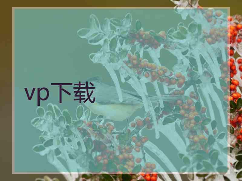 vp下载