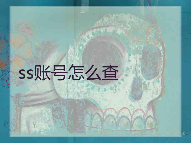 ss账号怎么查