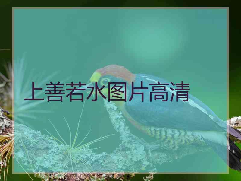 上善若水图片高清