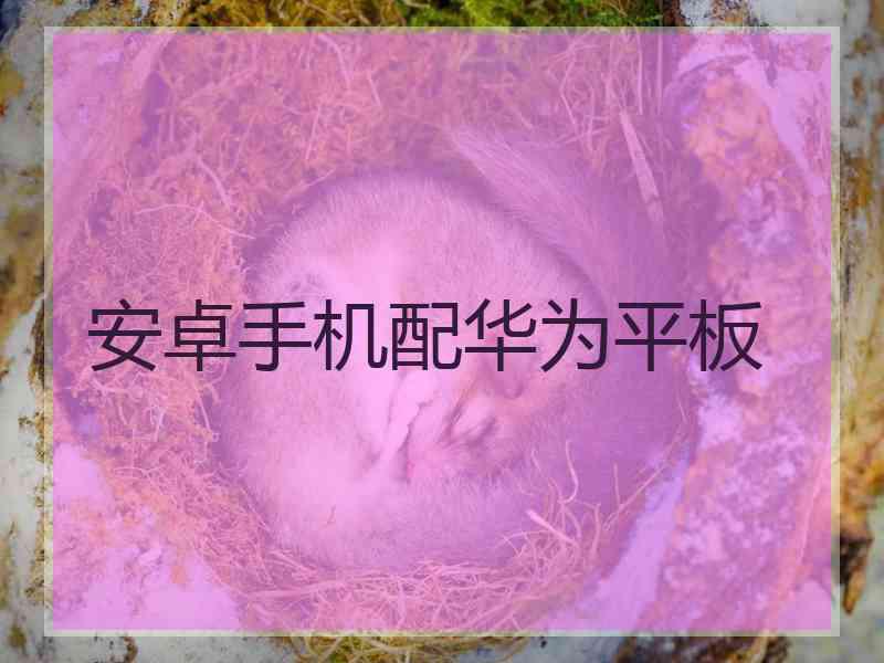 安卓手机配华为平板