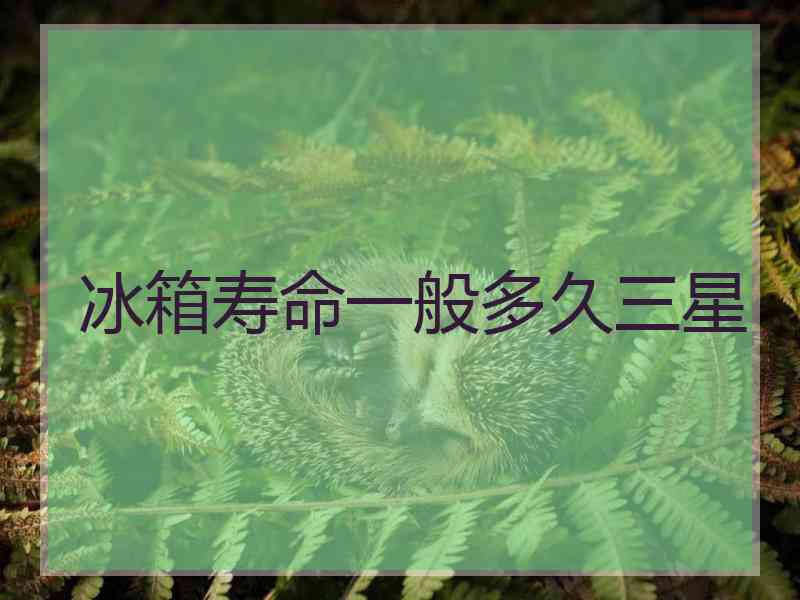 冰箱寿命一般多久三星