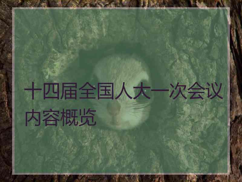十四届全国人大一次会议内容概览