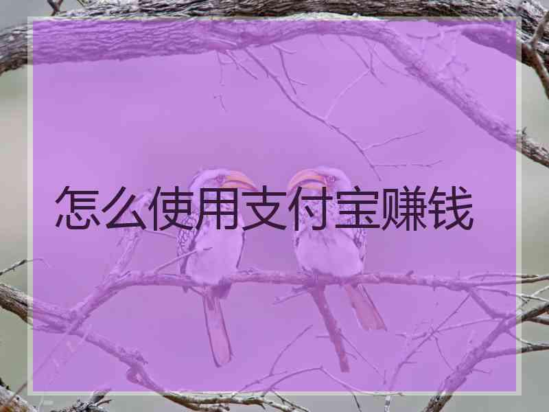 怎么使用支付宝赚钱