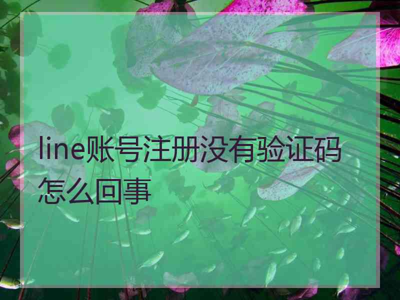 line账号注册没有验证码怎么回事