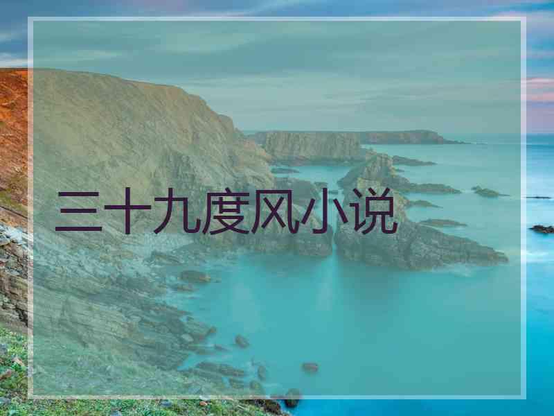 三十九度风小说