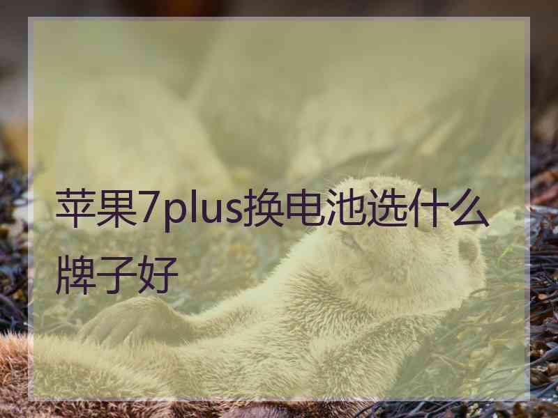 苹果7plus换电池选什么牌子好