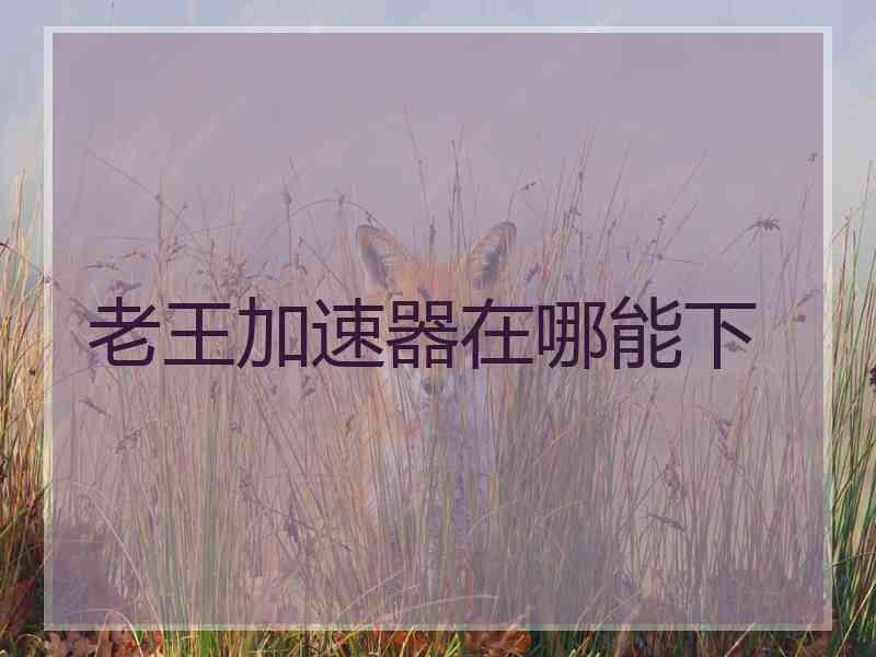 老王加速器在哪能下