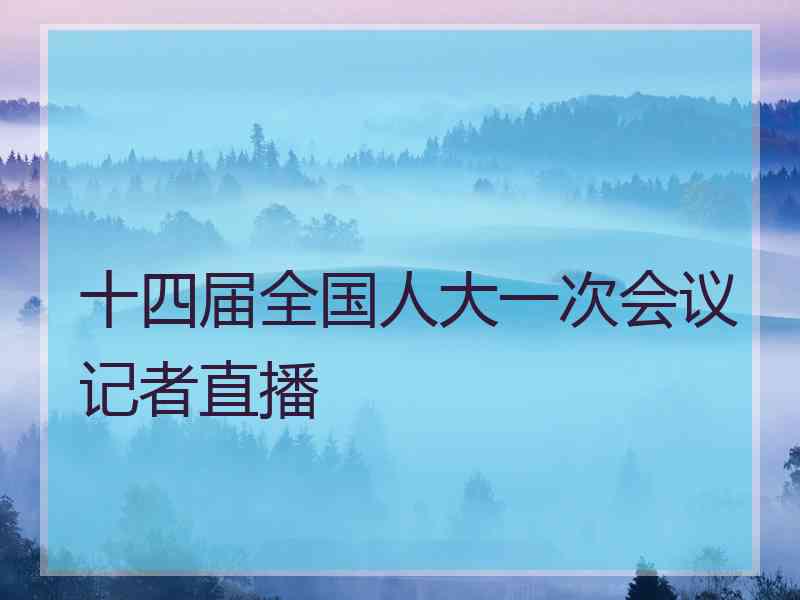 十四届全国人大一次会议记者直播