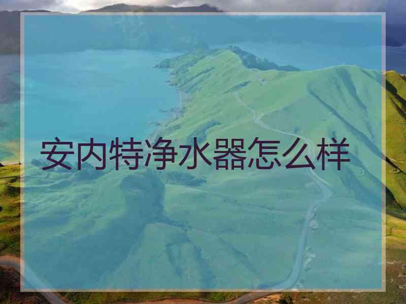 安内特净水器怎么样