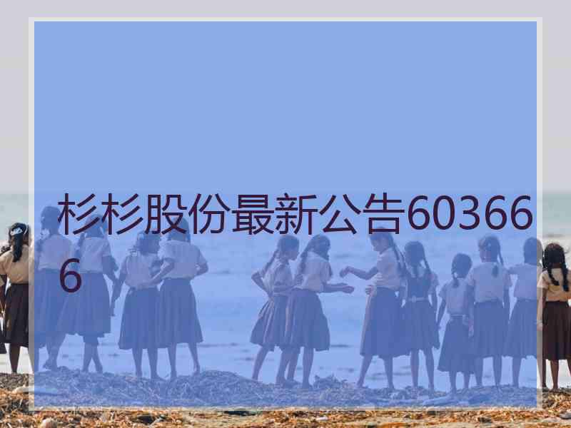 杉杉股份最新公告603666