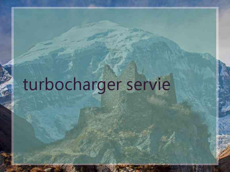 turbocharger servie