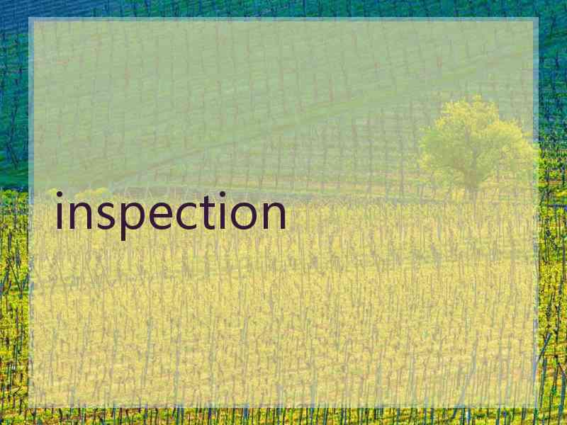 inspection